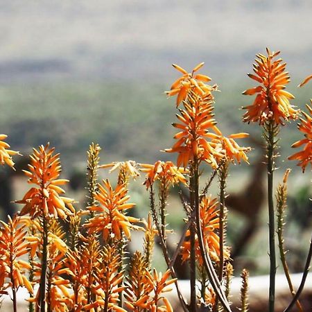 Cortijo El Paraiso ลอส เอสคูยอส ภายนอก รูปภาพ